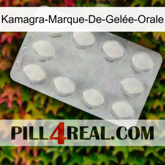 Kamagra-Marque-De-Gelée-Orale 16